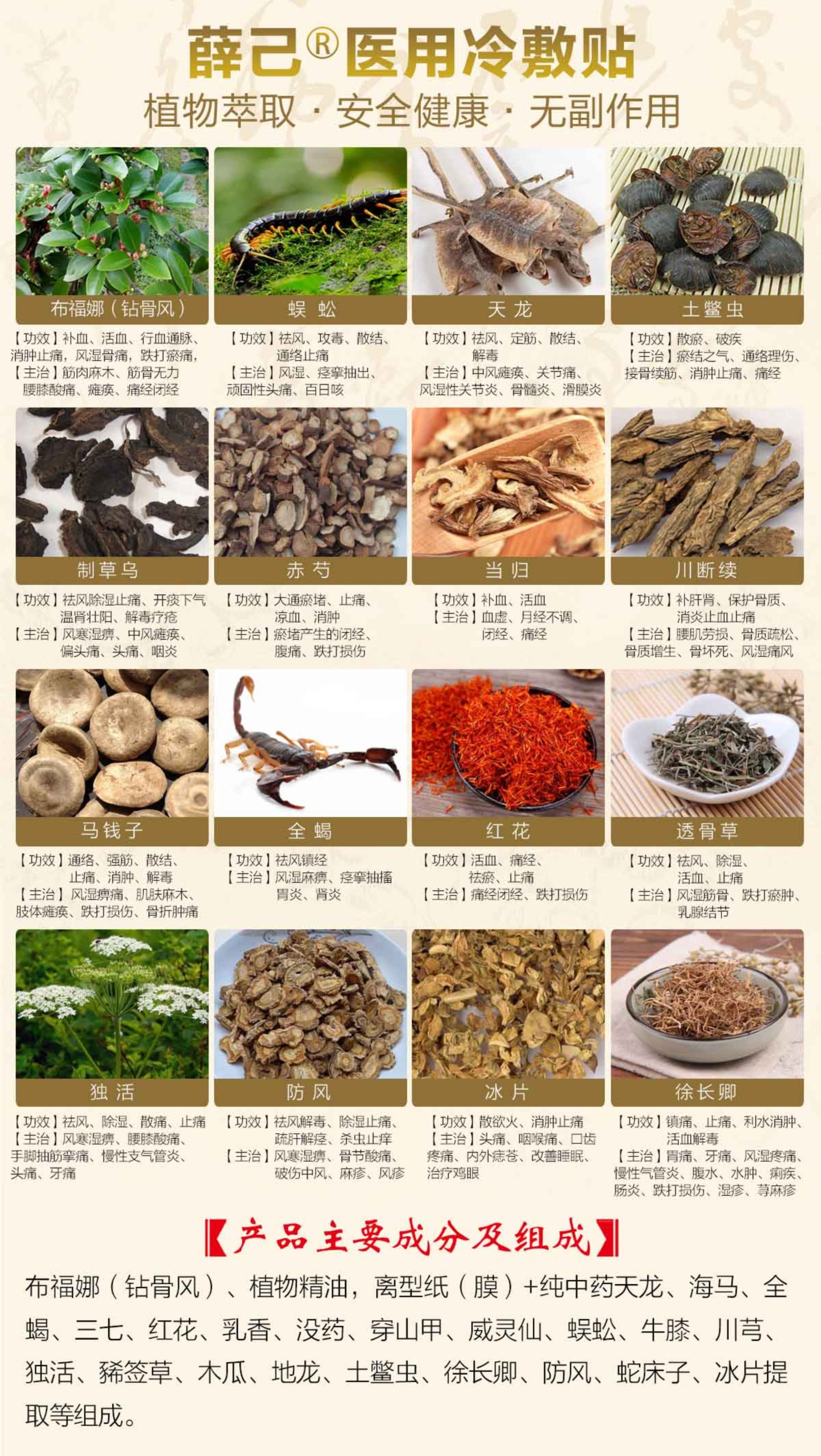薛己膏藥 布福娜薛己膏藥