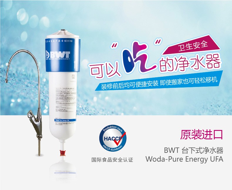 末端凈水器 BTW德國倍世凈水末端 凈水器