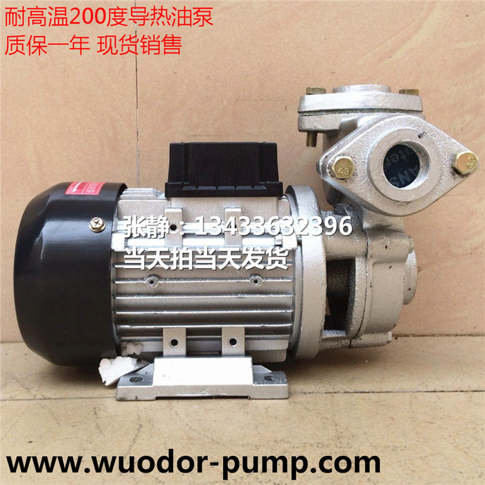 TS-71高溫循環(huán)泵 模溫機(jī)高溫馬達(dá) 熱水循環(huán)泵