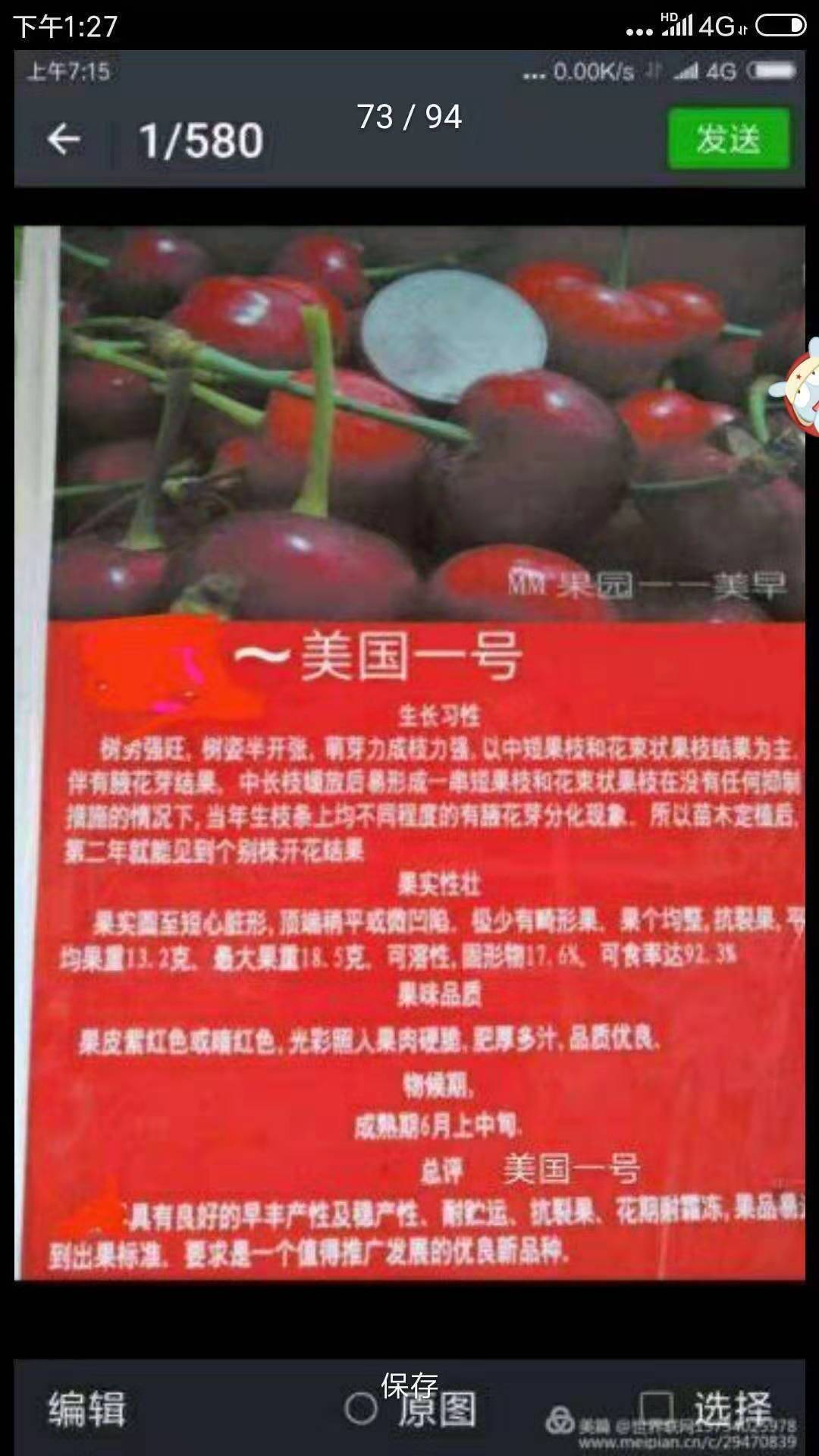 批發(fā)優(yōu)質(zhì)蜜濃櫻桃-新鮮蜜濃櫻桃價格-大櫻桃價格哪里便宜