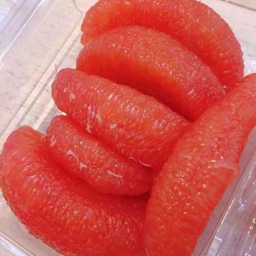 出售泰國(guó)紅心青柚苗