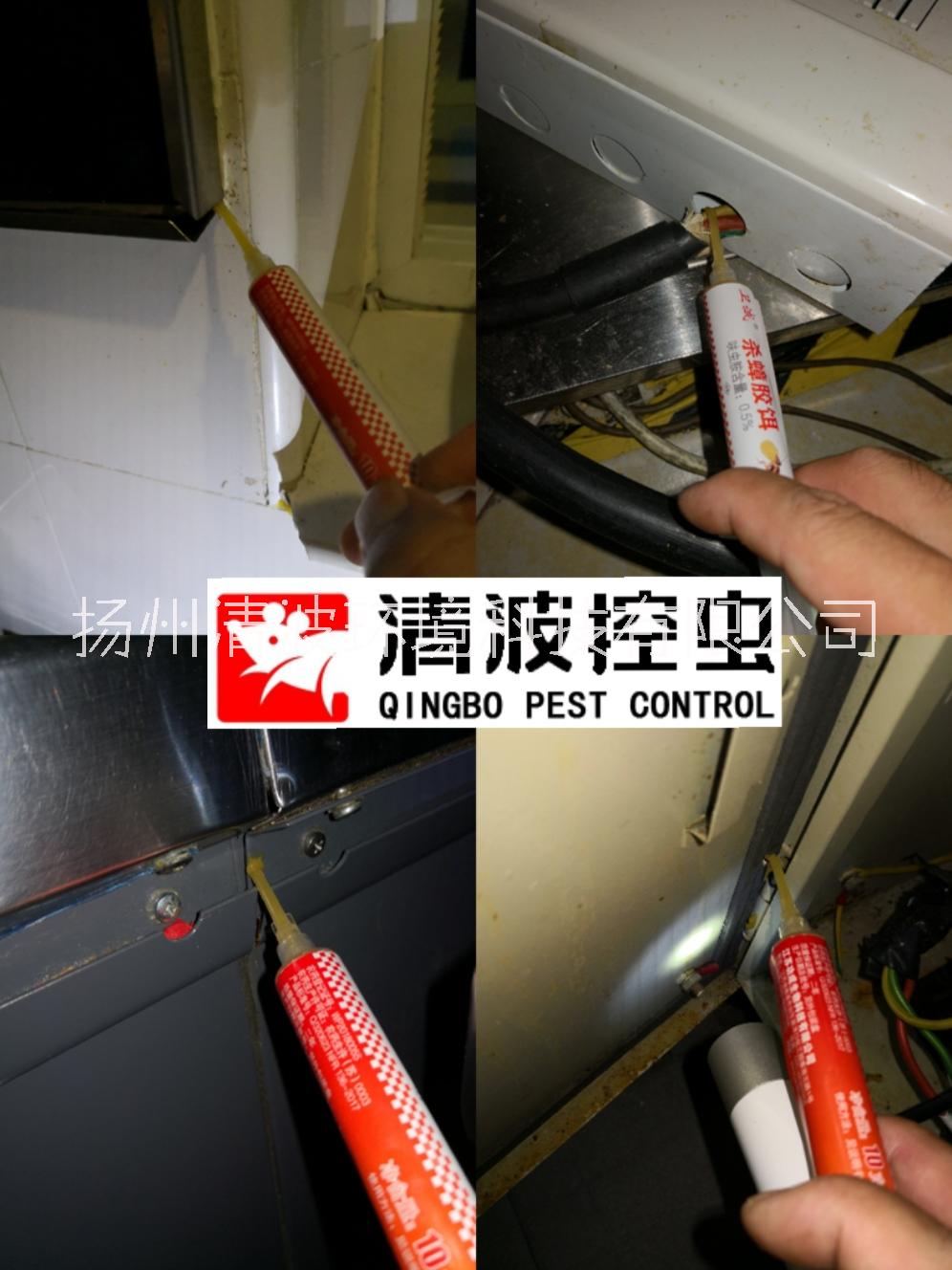 丹陽 揚(yáng)中 句容 滅蟑螂 殺蟑螂 滅蟑螂公司 殺蟑螂公司 除蟑螂公司 防蟑螂公司 專業(yè)防治公司 專業(yè)消殺服務(wù)