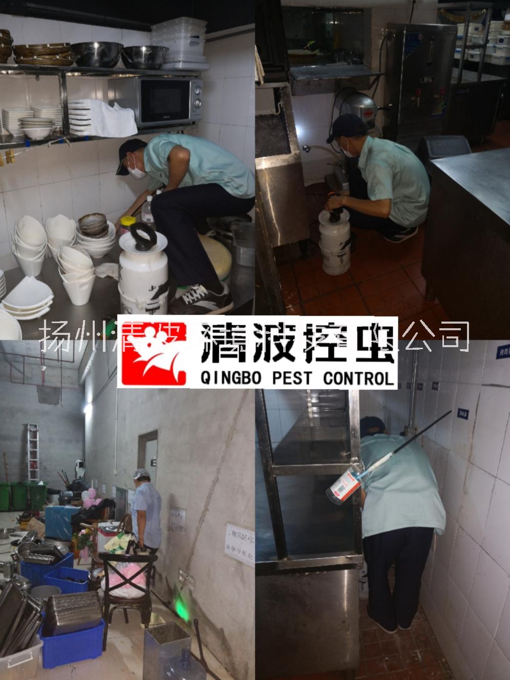 興化 泰興 靖江 滅蟑螂 殺蟑螂 滅蟑螂公司 殺蟑螂公司 除蟑螂公司 防蟑螂公司 專業(yè)防治公司 專業(yè)消殺服務(wù)