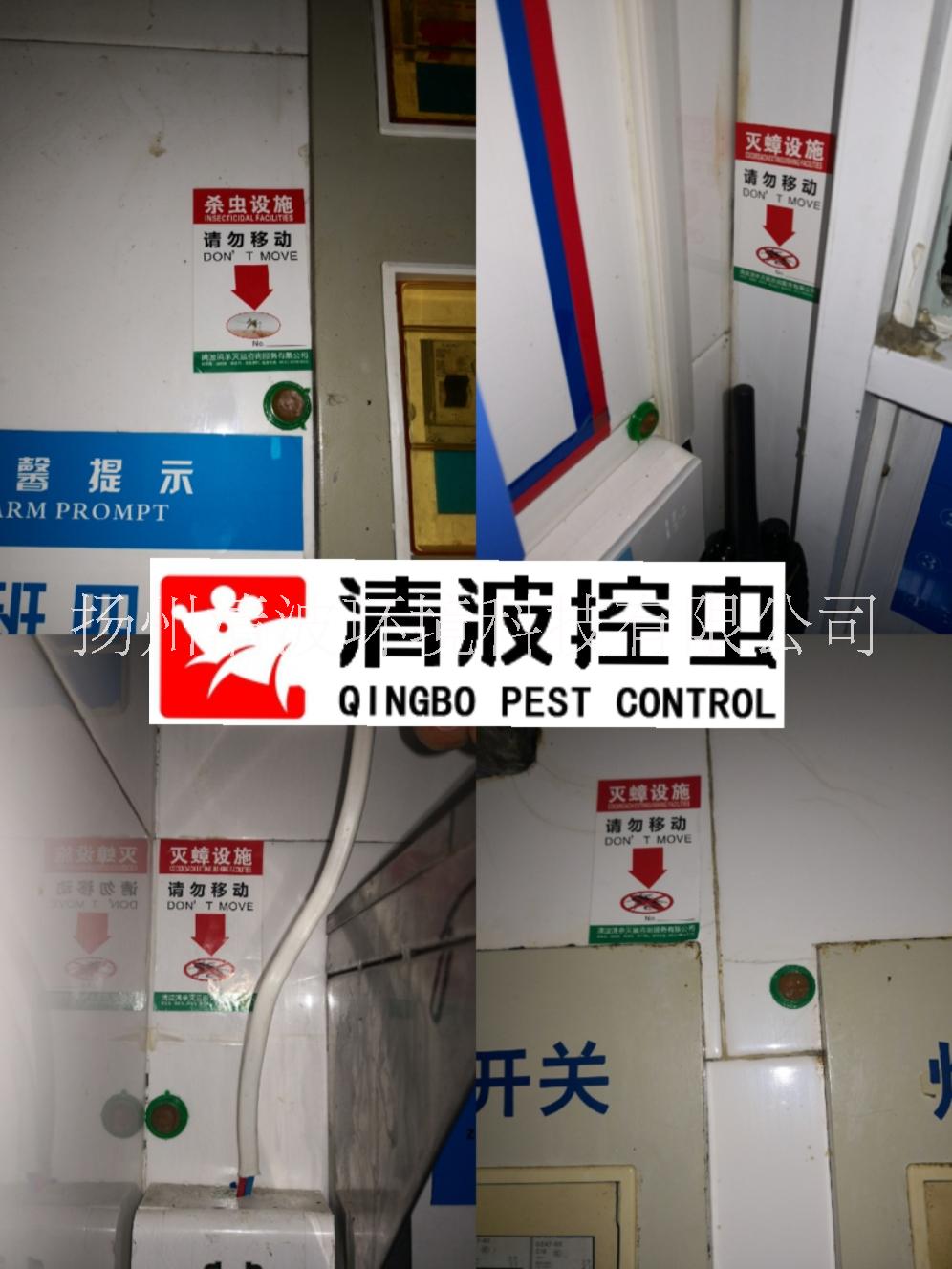 揚(yáng)州 泰州 鎮(zhèn)江 滅蟑螂公司 除蟑螂公司 殺蟑螂公司 防蟑螂公司 服務(wù)公司 消殺施工公司