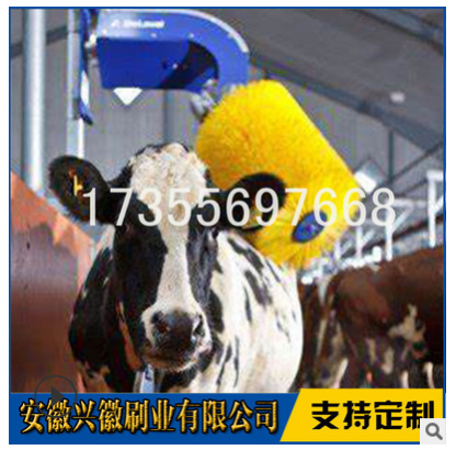 安徽牛體刷價格-馬體清潔毛刷供應(yīng)商-直銷廠家