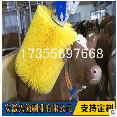 安徽牛體刷價格-馬體清潔毛刷供應(yīng)商-直銷廠家