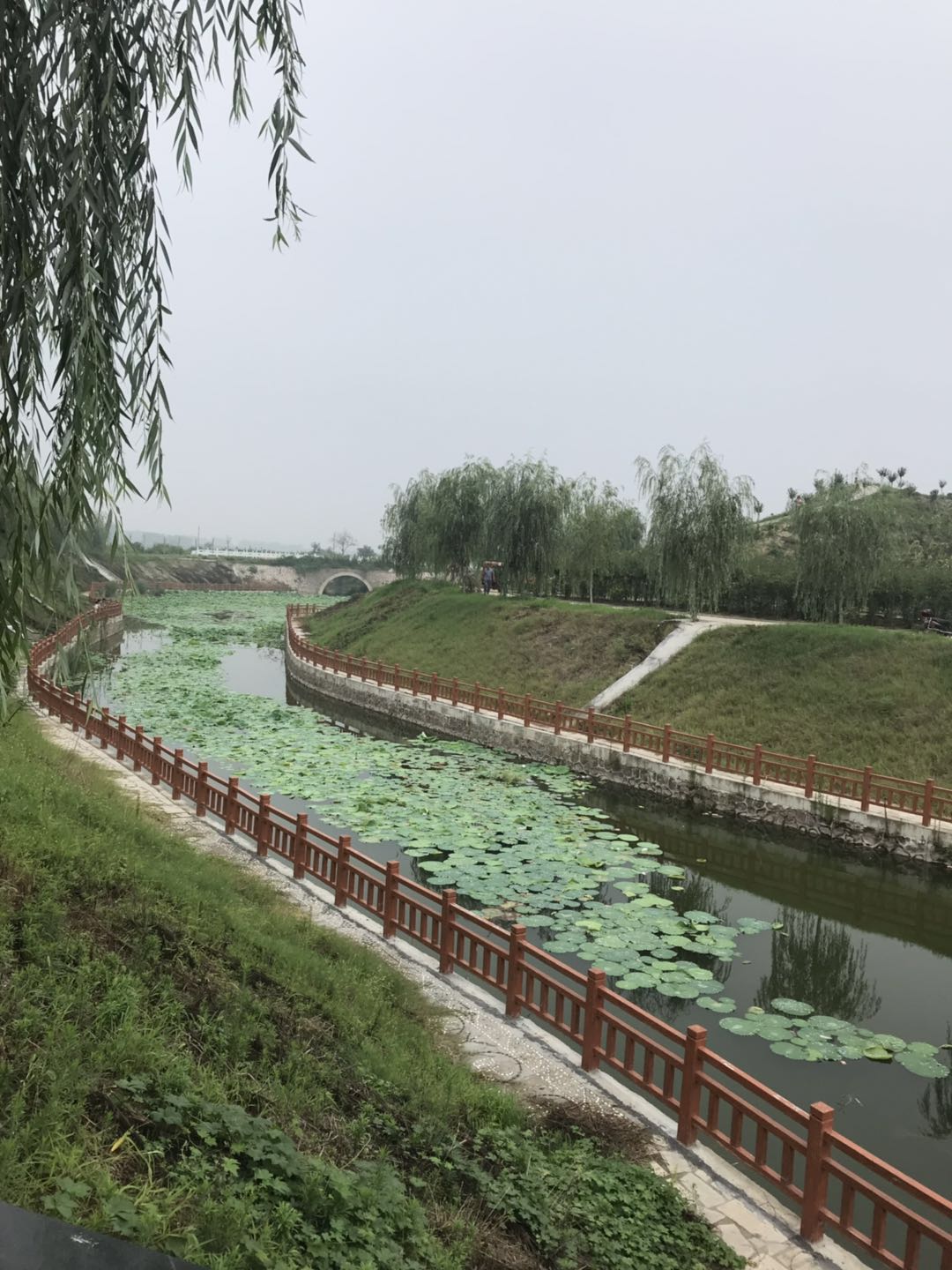 河道治理河底淤泥固化 河道治理河底淤泥固化EM菌