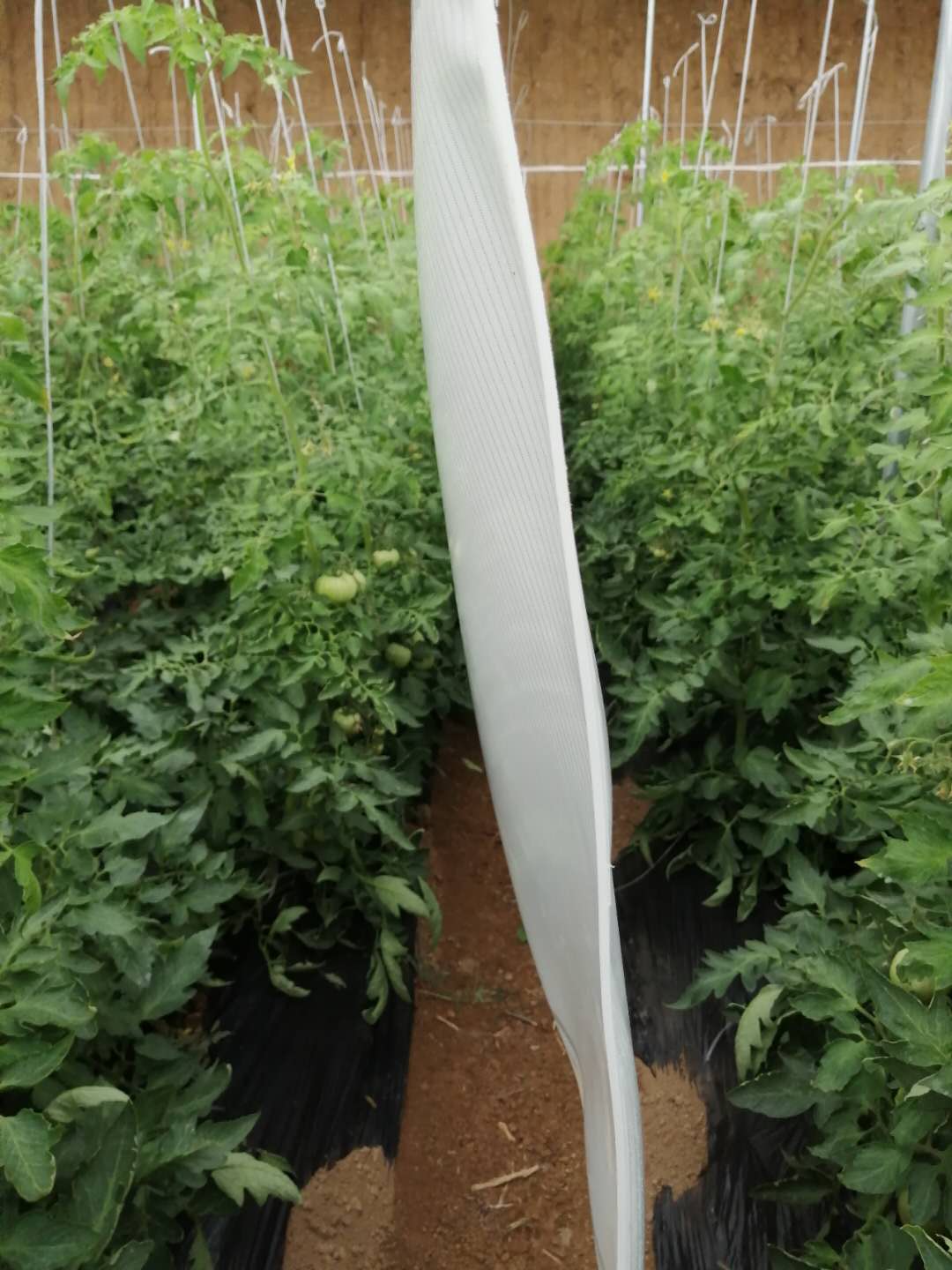 輻射加熱布廠家_價(jià)錢_批發(fā)【壽光邢氏農(nóng)業(yè)科技發(fā)展有限公司】