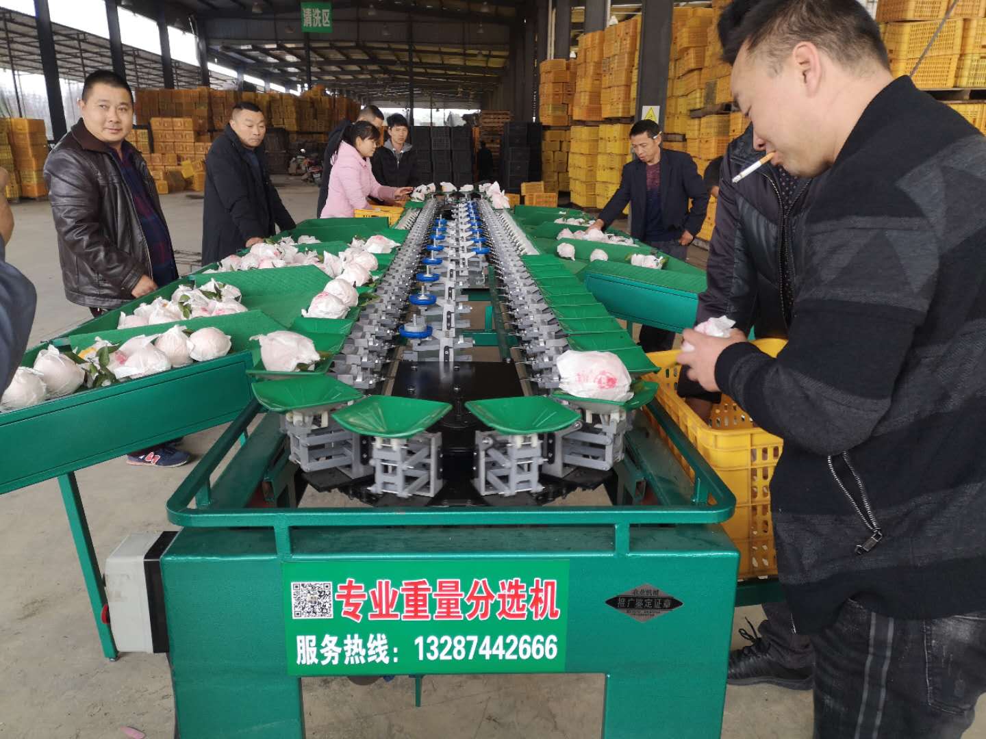 贛南臍橙選果機(jī) 橙子大小分級(jí)機(jī)廠家
