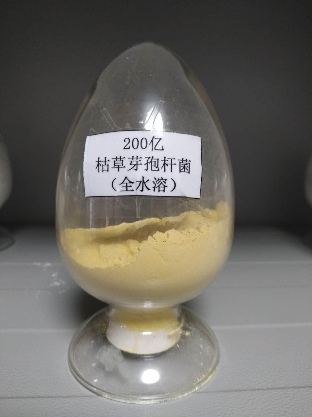 海南枯草芽孢桿菌粉生產(chǎn)廠家