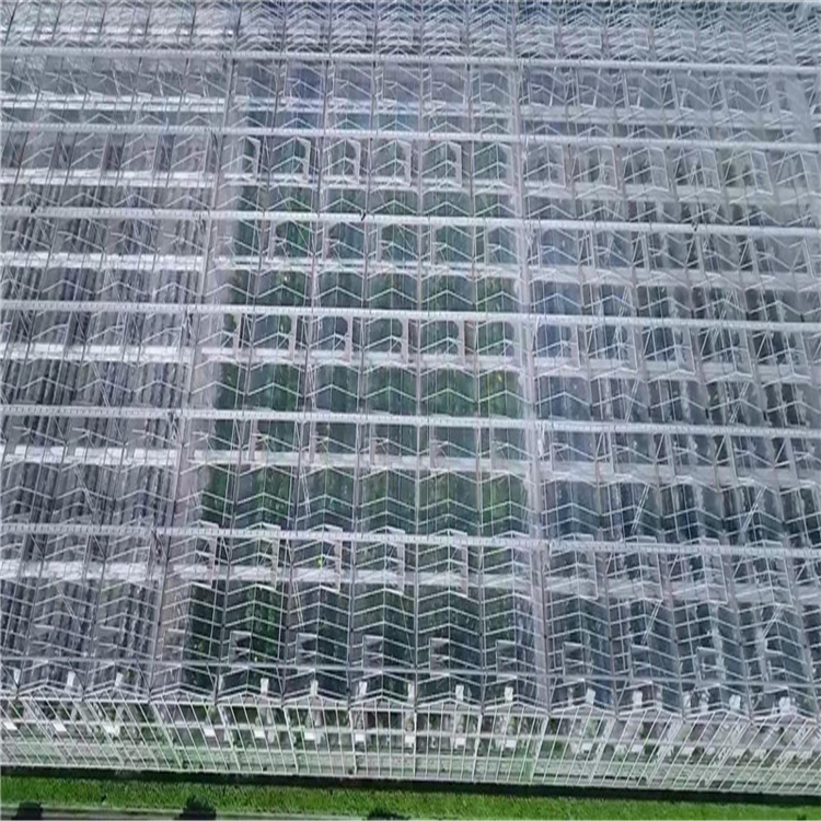 鋼結構玻璃大棚造價 溫室生態(tài)園