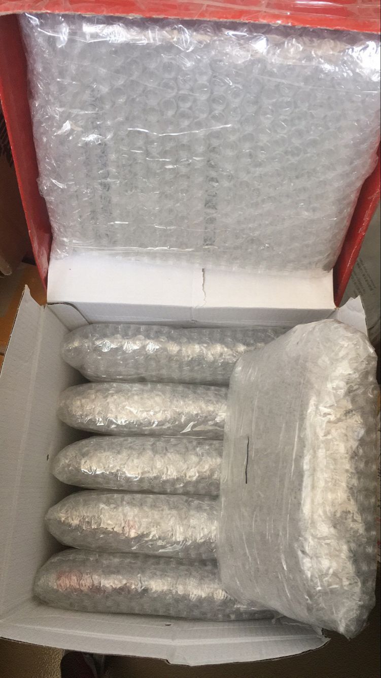 操作生長*出口美國，DHL承接 藥品國際快遞