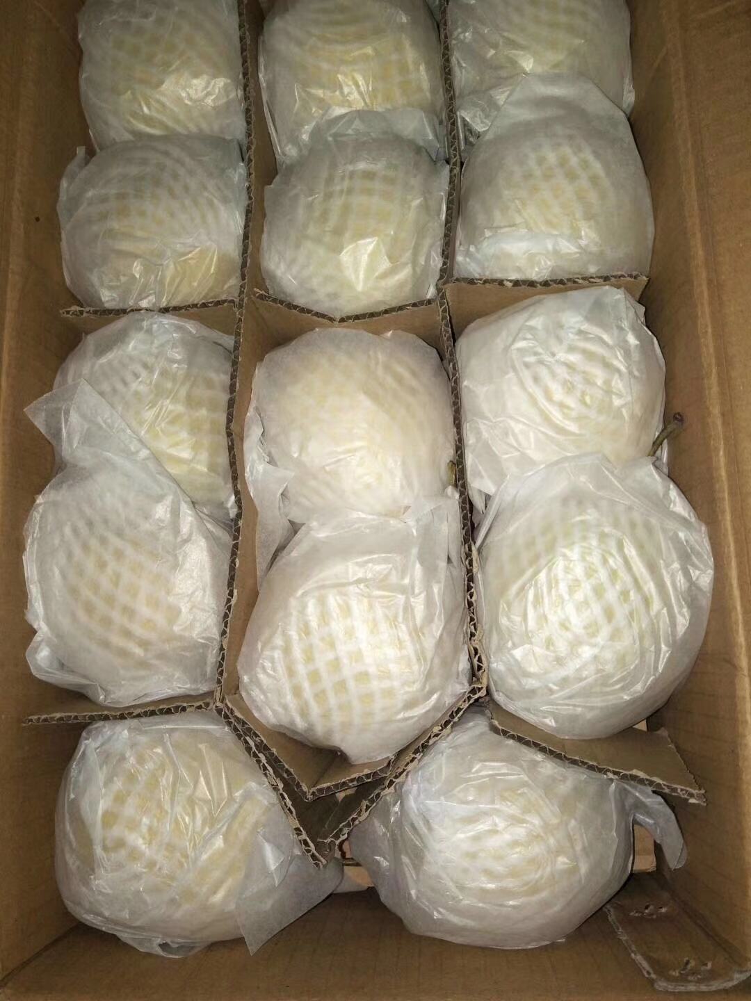 產(chǎn)地直銷(xiāo) 趙縣雪花梨，汁多味甜，型號(hào)齊全