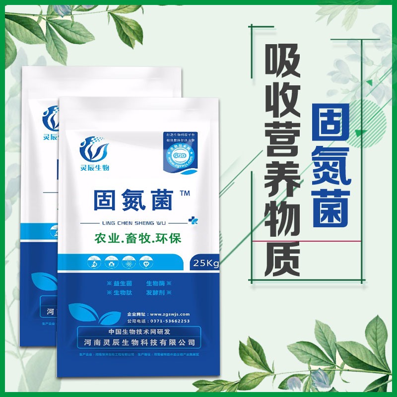 微生態(tài)制劑|固氮菌