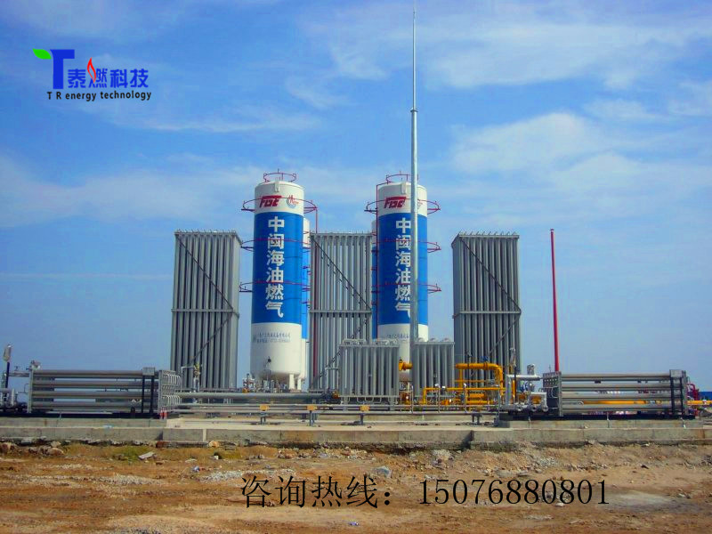 供應各種規(guī)格型號天然氣氣化撬，*氣化裝置，廠家直銷