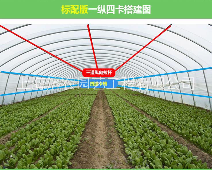 陽光板溫室 濟(jì)農(nóng)園藝陽光板溫室