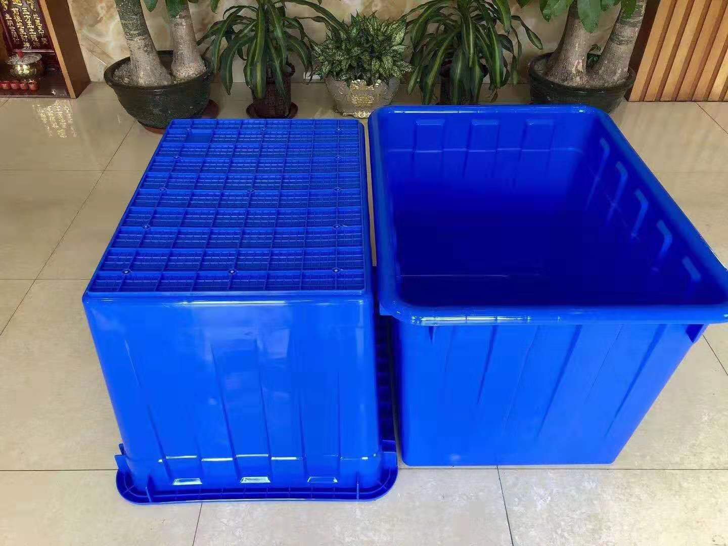 【大號(hào)塑膠水箱 魚箱 塑料箱 價(jià)格、價(jià)錢、報(bào)價(jià) 】佛山市聯(lián)勝塑膠制品有限公司