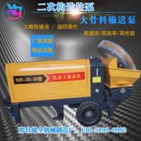 河北大型二次構(gòu)造柱泵廠家