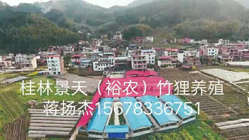 *養(yǎng)殖廠家-全國商品*銷售、怎么樣買到優(yōu)質商品*