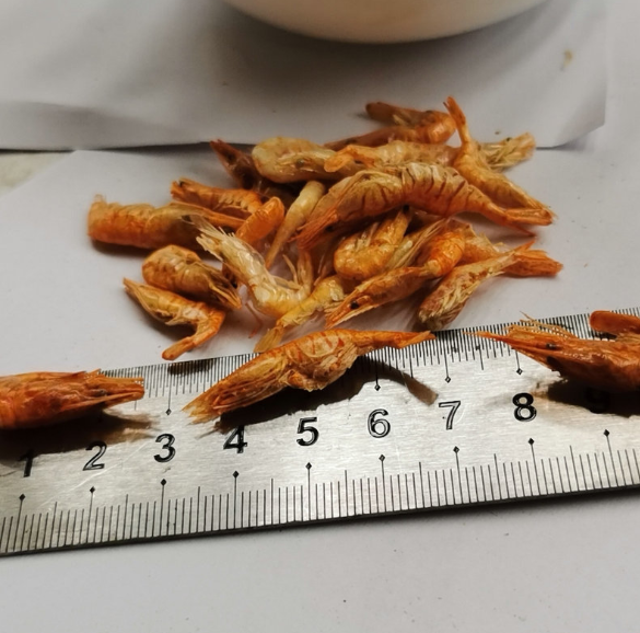 凍干紅頭蝦 凍干紅頭蝦報價 凍干紅頭蝦批發(fā) 凍干紅頭蝦供應(yīng)商 凍干紅頭蝦生產(chǎn)廠家 凍干紅頭蝦哪家好