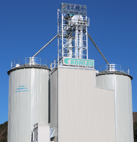 烘干機(jī)配套200噸水稻潮糧倉(cāng)  鍍鋅鋼板烘干塔* 存儲(chǔ)方便價(jià)格低