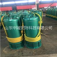安泰BQS200-30-37/N內裝式礦用隔爆排沙泵1140V660V排污潛水電泵