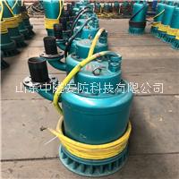三項立式防爆潛水泵BQS7.5kw廣東廣州中鐵施工污水污物防堵排污泵
