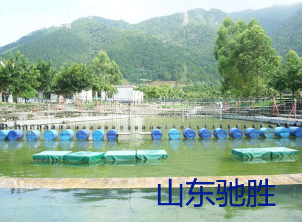 水上趣味運(yùn)動(dòng)會(huì)夏季戶外拓展訓(xùn)練項(xiàng)目水上團(tuán)隊(duì)賽龍舟皮劃艇比賽山東馳勝