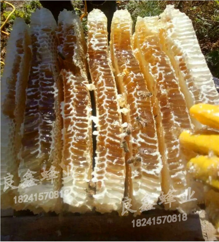疊加式仿生蜂箱木桶蜂箱方便管理取蜜不傷子脾不傷蜂群 疊加式仿生蜂箱木桶蜂箱