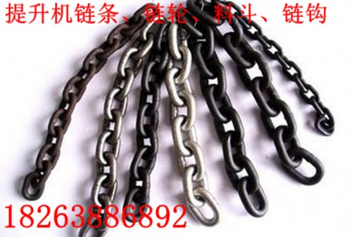 魯興HL500提升機(jī)鏈條鏈輪技術(shù)參數(shù)