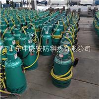 380V防爆潛水電泵BQS15-55/2-5.5廣東湛江直銷雙葉輪立式排污泵