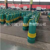 礦用隔爆排沙泵BQS200-30-37/N江蘇徐州直銷內(nèi)裝式潛水排污電泵