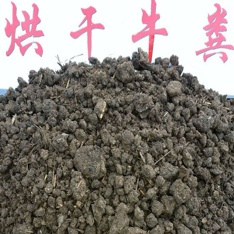賀州廠家直銷果蔬*干牛糞 發(fā)酵牛糞 純牛糞 牛糞