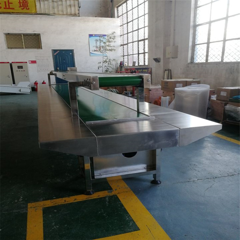 寧津德隆訂制工業(yè)皮帶輸送機(jī)流水線 醫(yī)藥品用傳送帶生產(chǎn)線