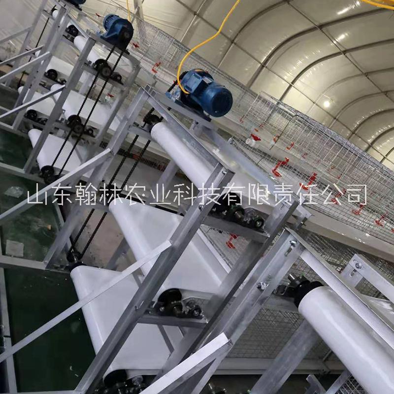 肉雞籠子 籠養(yǎng)肉雞 自動養(yǎng)殖雞籠 層疊肉雞籠 全自動養(yǎng)殖設備