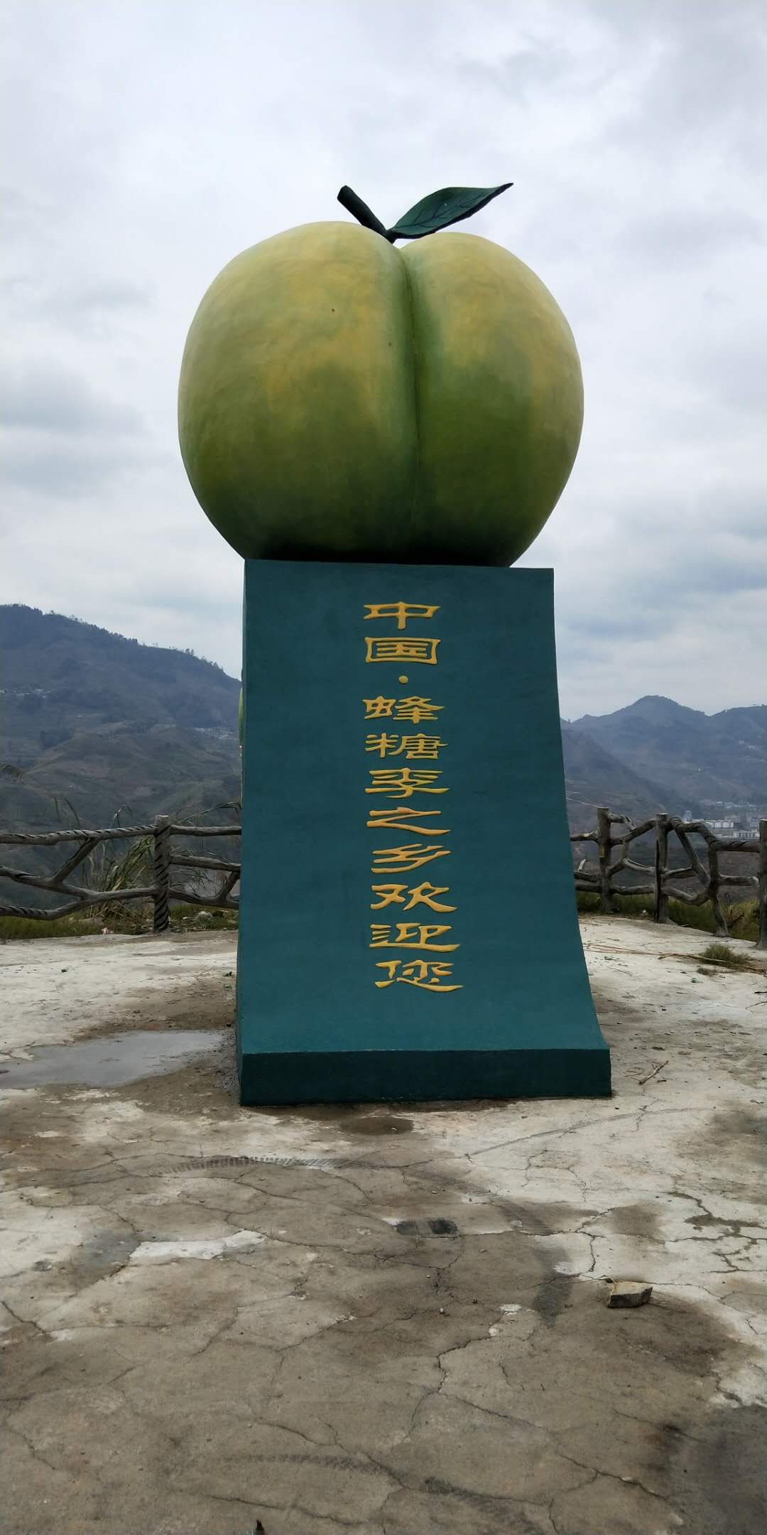 貴州蜂糖李子苗基地 批發(fā)價格哪里有賣多少錢 貴州原產(chǎn)蜂糖李基地 貴州六馬蜂糖李苗
