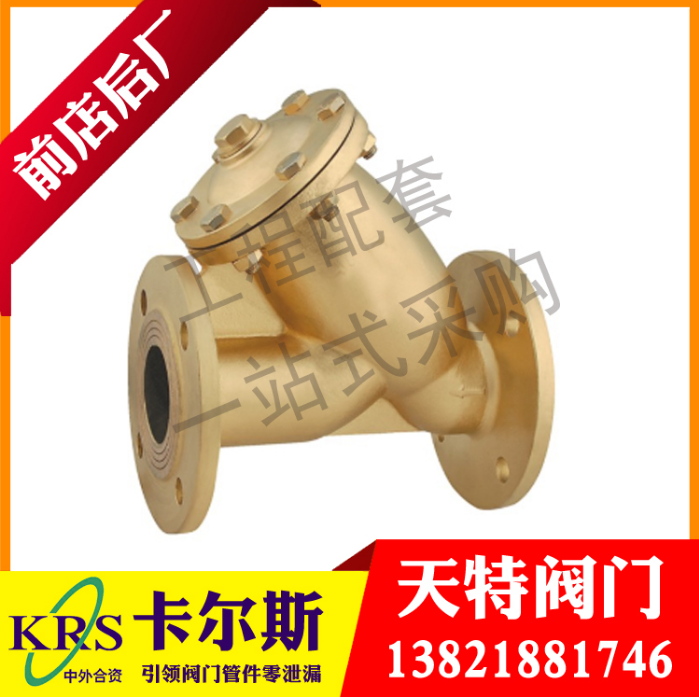 法蘭過(guò)濾器生產(chǎn)廠家 法蘭過(guò)濾器廠家直銷(xiāo) 天津法蘭過(guò)濾器