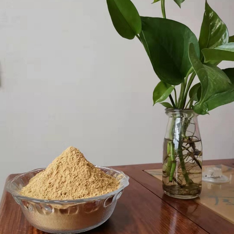 酵母提取物 酵母粉 氨基酸粉 生物營(yíng)養(yǎng)劑 酵母蛋白水解物