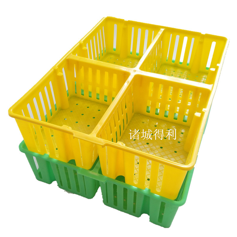 批發(fā)PP原料四格雞苗箱 雛禽運(yùn)輸箱 四格雞苗筐 帶隔斷鴨苗筐