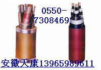 核電站電纜HF-KYJE-K3