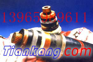 核電站電纜HF-KYJE-K3