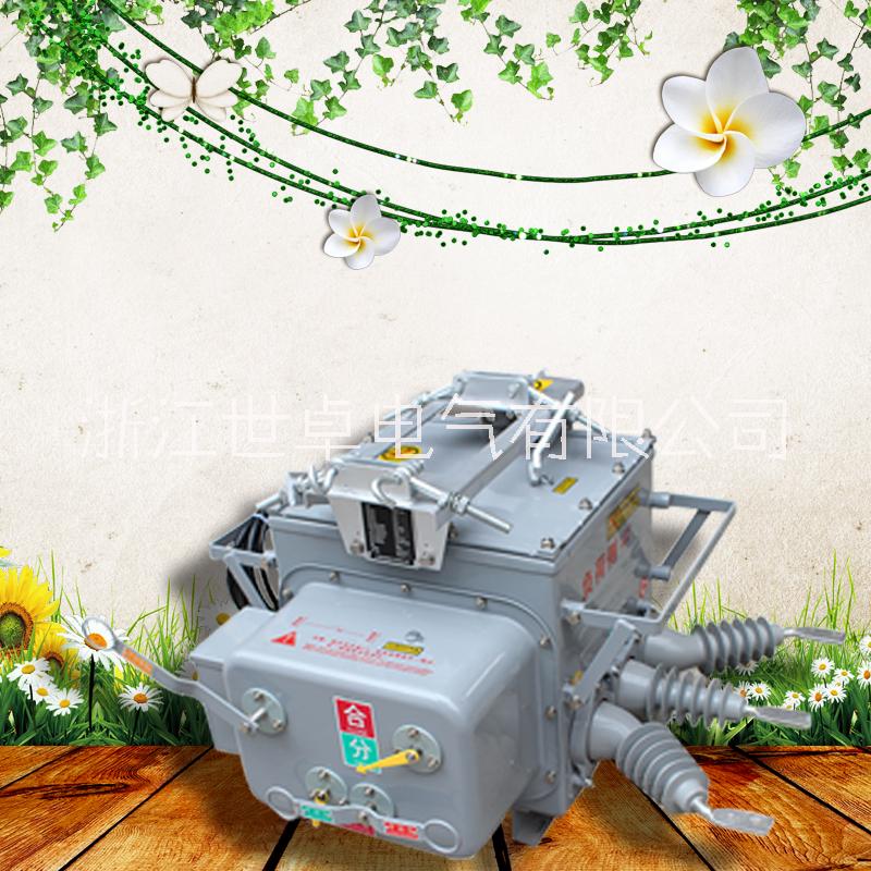 ZW20柱上分界開關(guān) 柱上看門狗 10Kv斷路器 浙江世卓電氣