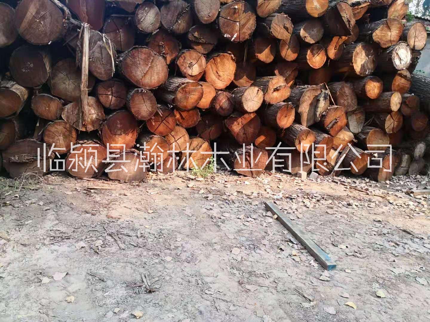 紅椿木板材河南廠家收購紅椿木原木定制紅椿木烘干板材家具材料配件