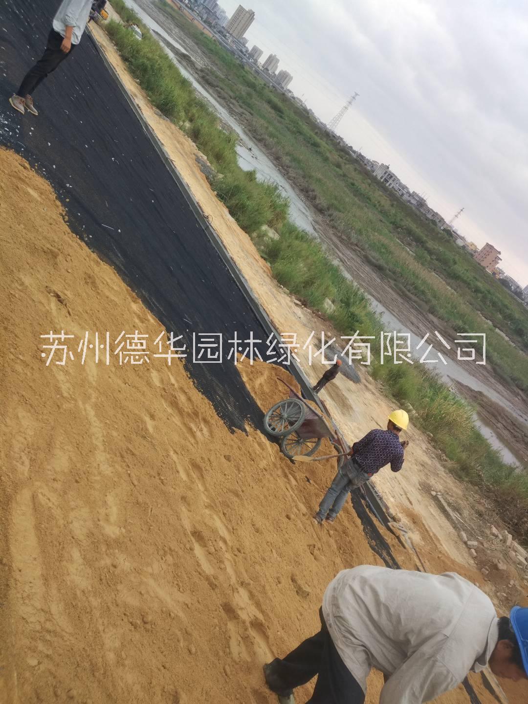 生態(tài)水土保護毯 生態(tài)水土保持護毯