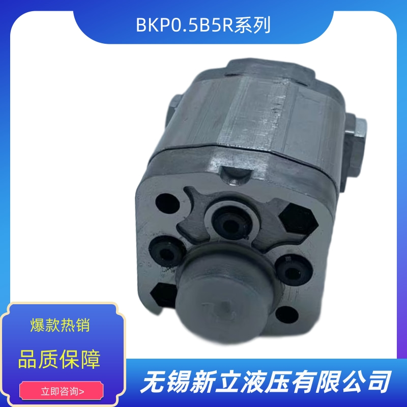 無錫齒輪油泵BKP0.5B5R價格 批發(fā) 供貨商 生產(chǎn)廠家【無錫新立液壓有限公司】