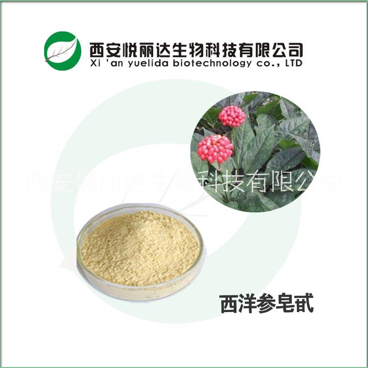 西洋參提取物 西洋參皂甙 西洋參提取物西洋參皂甙