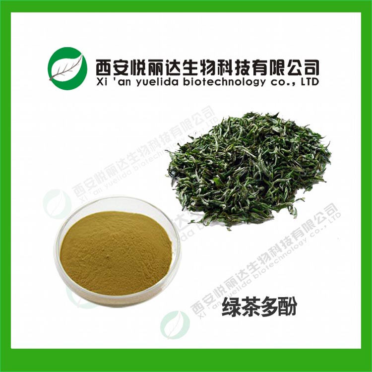 綠茶提取物 茶葉濃縮浸膏粉速溶粉 生產(chǎn)廠家