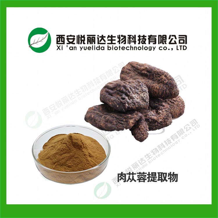 肉蓯蓉提取物粉 管花肉蓯蓉純粉