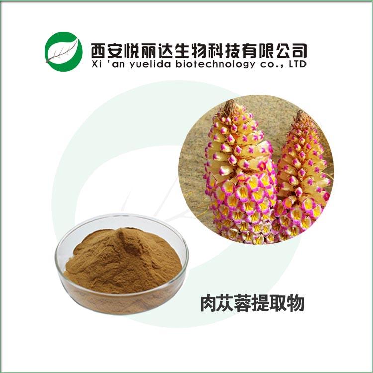 肉蓯蓉提取物粉 管花肉蓯蓉純粉