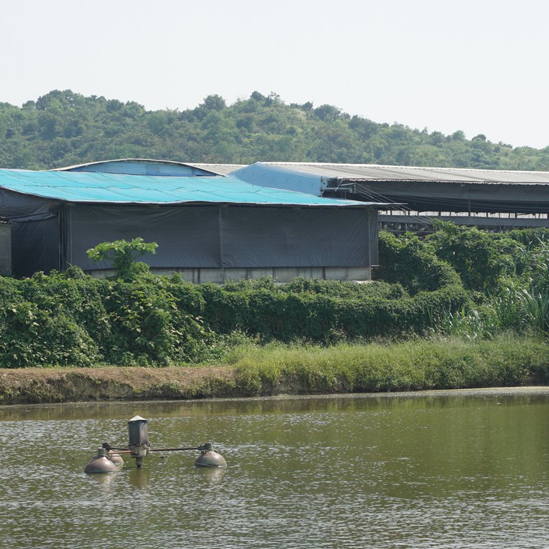 豬場(chǎng)防水阻燃帆布篷布生產(chǎn)廠家